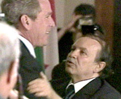 Que voyez-vous sur cette photo ? Boutef-Bush.jpg