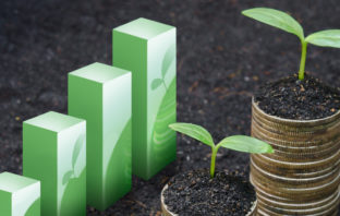 Peace-Development-Environment: Integrated?