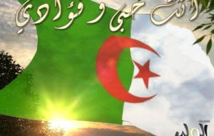 نداء الجزائر الاستفتاء كحل سیاسي
