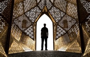 Intellectuals Who Quest Beyond the Ivory Tower