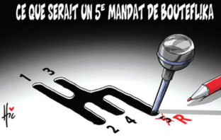 L’algérien et la reconduction de Bouteflika