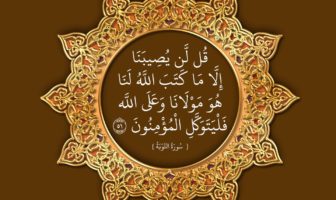 بين الشك واليقين!؟