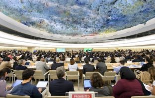 Lettre ouverte au Haut-commissariat des droits de l’homme des Nations- Unies