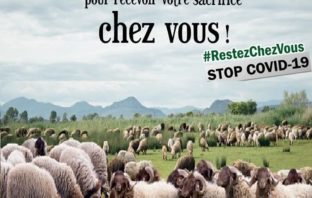 A l’occasion de la bienheureuse fête Aïd Al-Adha, ou l’épreuve des deux amours: les organisations musulmanes d’Europe rappellent les mesures de vigilance et de protection, craignant la propagation de l’épidémie de Corona