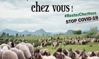 A l’occasion de la bienheureuse fête Aïd Al-Adha, ou l’épreuve des deux amours: les organisations musulmanes d’Europe rappellent les mesures de vigilance et de protection, craignant la propagation de l’épidémie de Corona