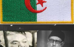 Sayyid Qutb et Cheikh Bouzouzou; une même vision du cortège de la victoire de la révolution algérienne