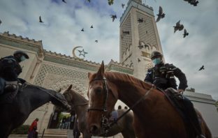 ماكرون يحقق حلم ساركوزي في تشتيت وحدة المسلمين