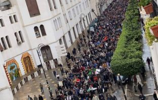 La réponse cinglante du Hirak au « rapport Stora »