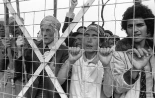 Les Harkis : honneur et fierté des lâches !